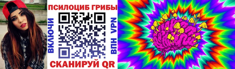 Псилоцибиновые грибы Psilocybe  где можно купить наркотик  Долинск 